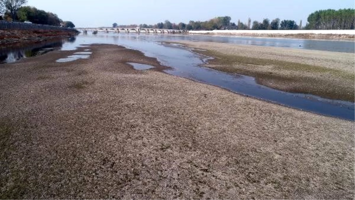 Meriç Nehri\'nde adacıklar oluştu, su kuyuları kurudu