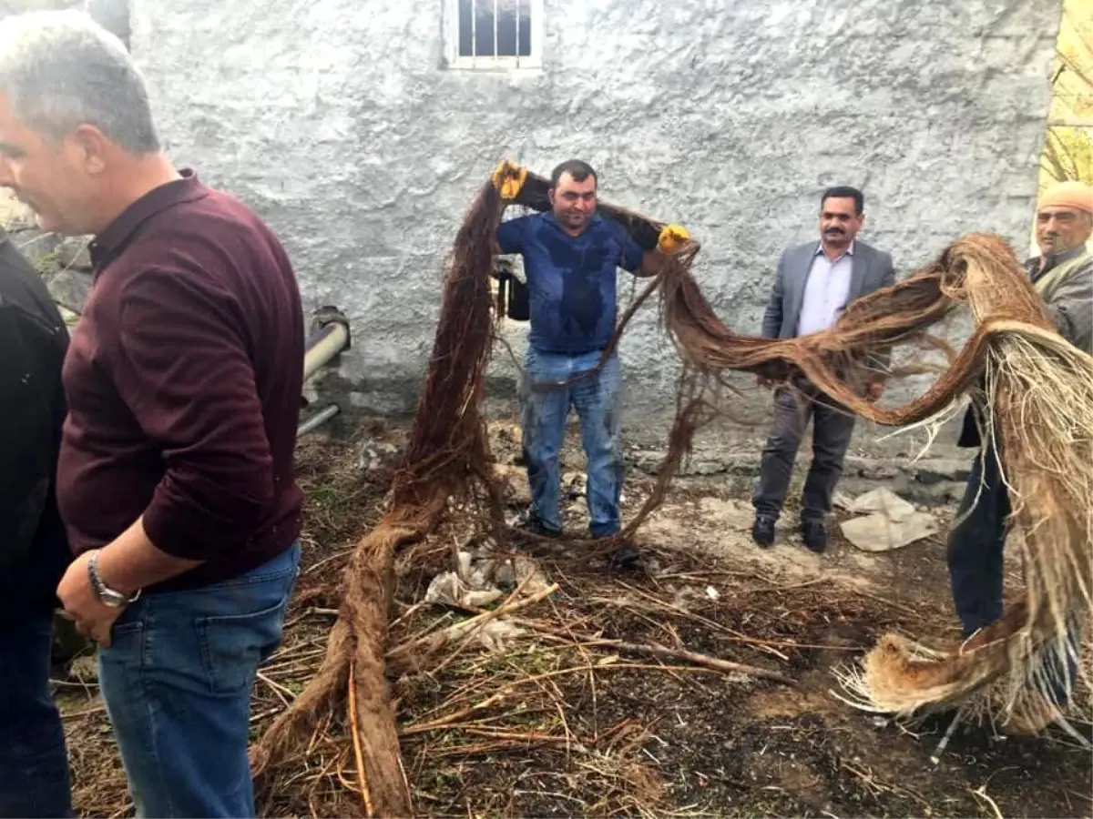 Su borusunun içinden çıkanlar herkesi şok etti