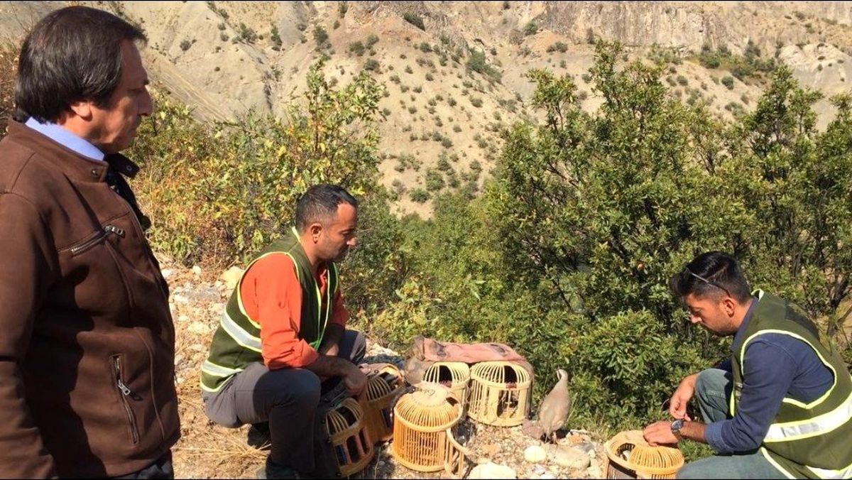 Tunceli\'de kaçak ava 54 bin lira ceza
