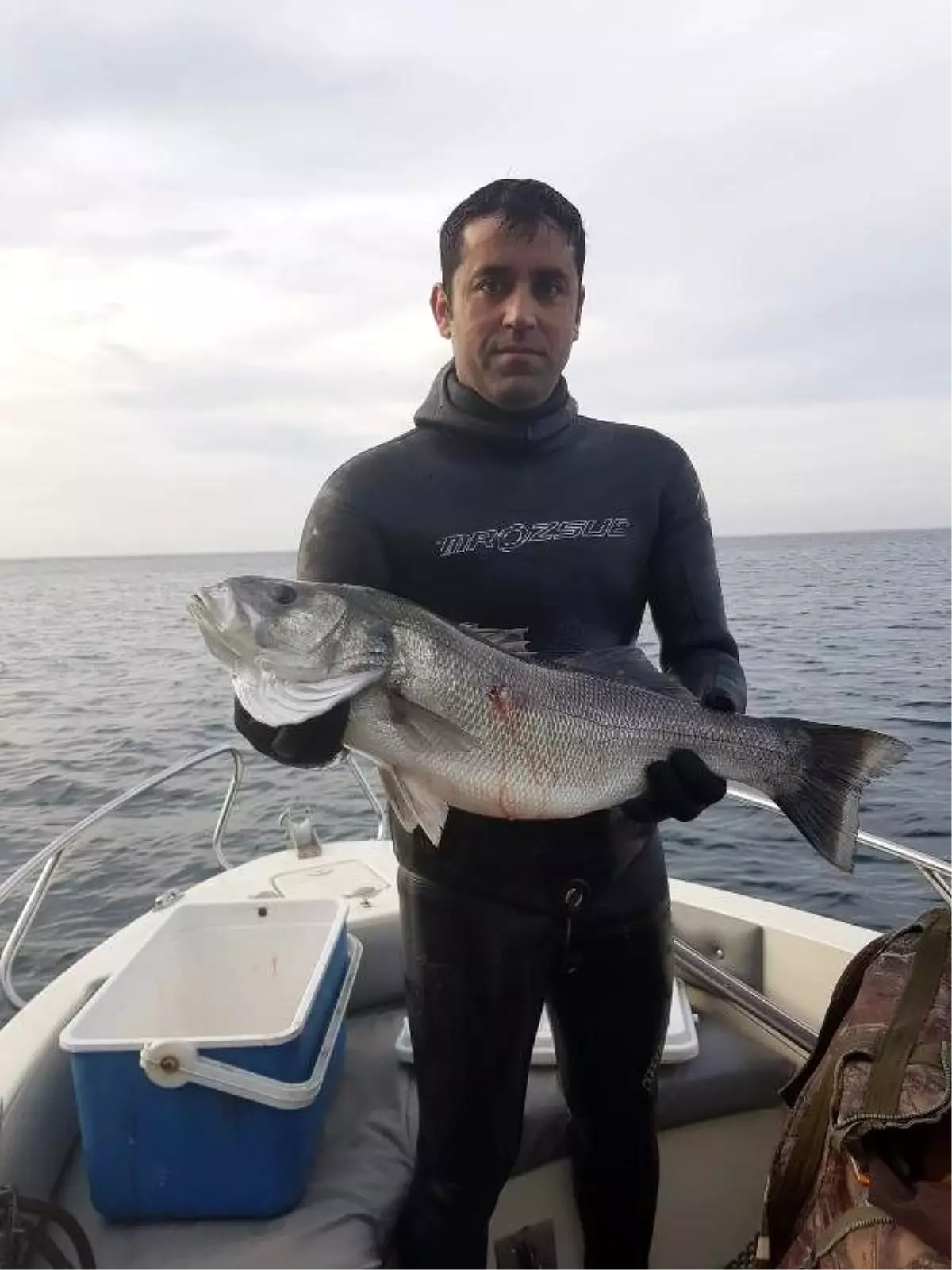 Zıpkınla 6,5 kiloluk levrek yakaladı