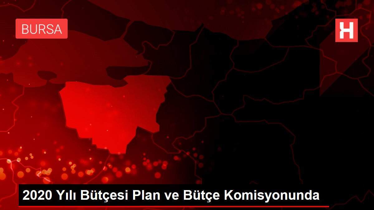 2020 Yılı Bütçesi Plan ve Bütçe Komisyonunda