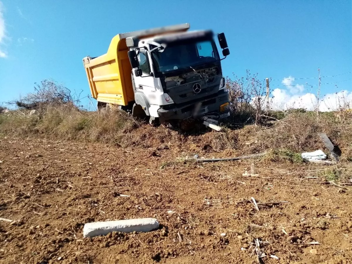 Ağaç sayesinde devrilmekten kurtuldu