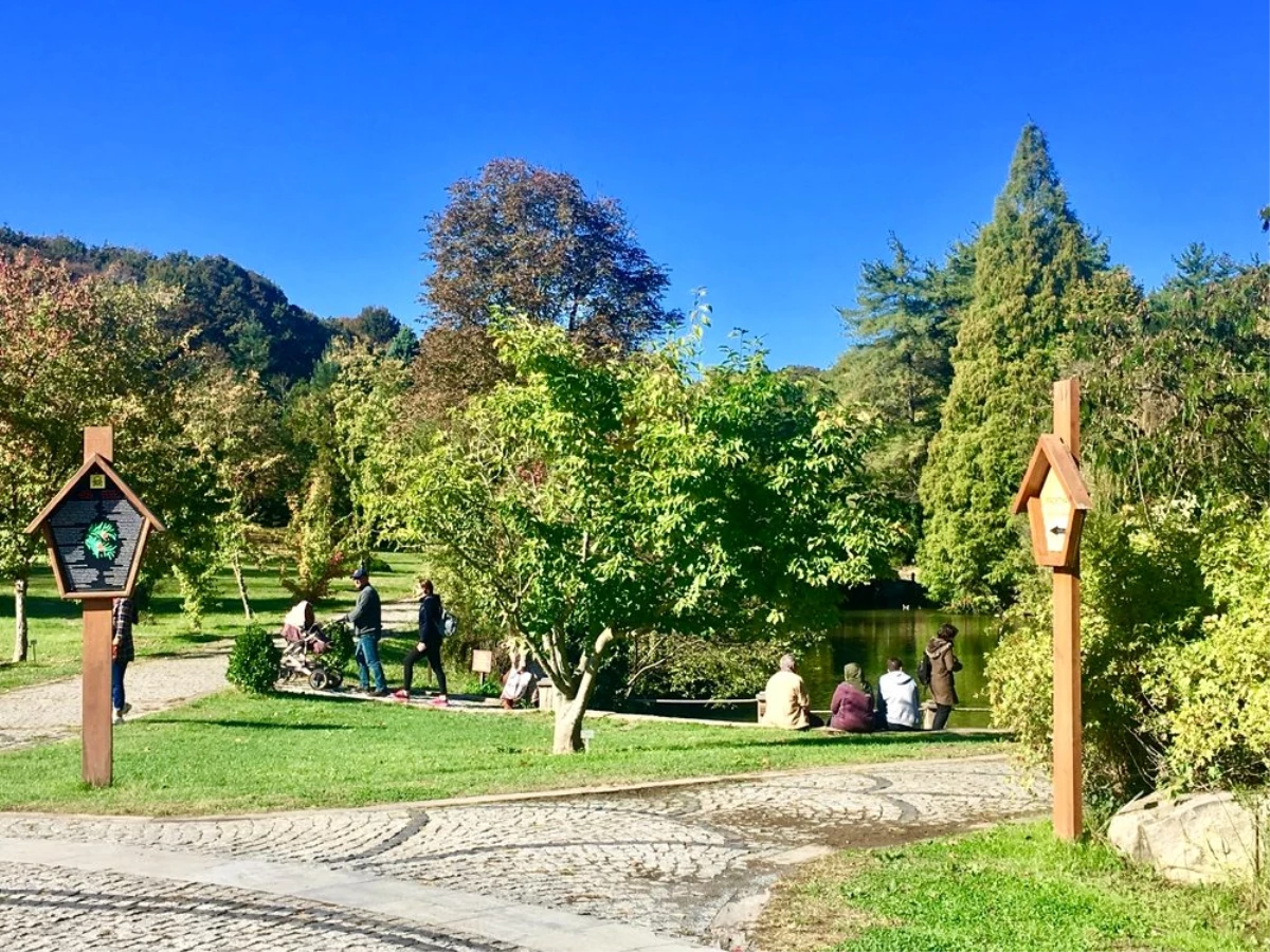 Atatürk Arboretumu\'nda sonbahar manzaraları havadan görüntülendi