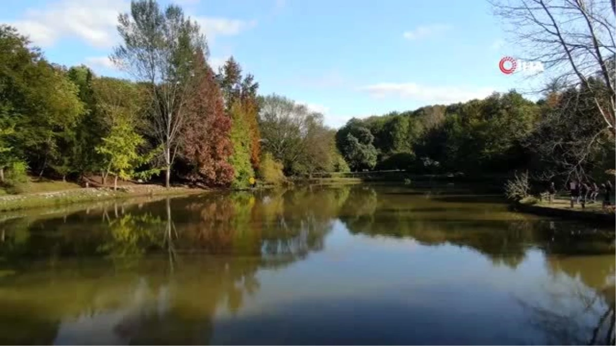 Atatürk Arboretumu\'nda sonbahar manzaraları