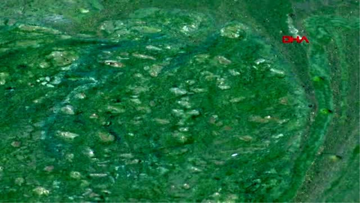 Atatürk baraj gölü\'ndeki yeşilliğin nedeni plankton ve alg patlaması