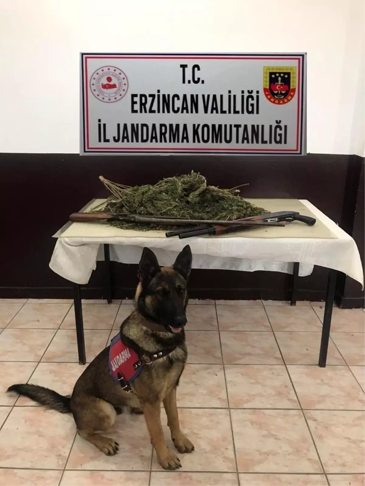 Erzincan\'da 2 kilo 400 gram kubar esrar ile 2 adet av tüfeği ele geçirildi