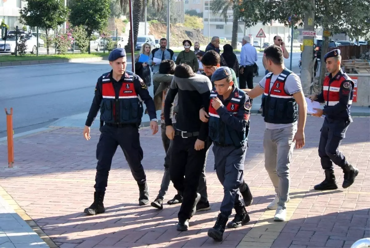 Girdikleri bahçeden 30 bin TL değerinde 10 bin avakado çaldılar