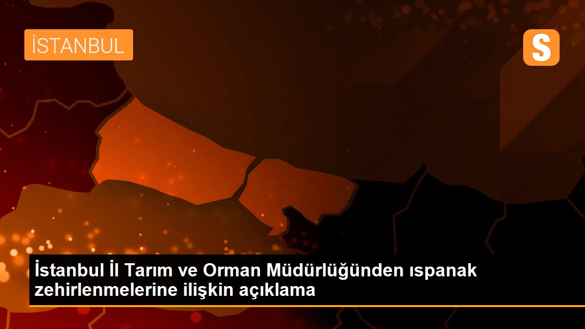 İstanbul İl Tarım ve Orman Müdürlüğünden ıspanak zehirlenmelerine ilişkin açıklama