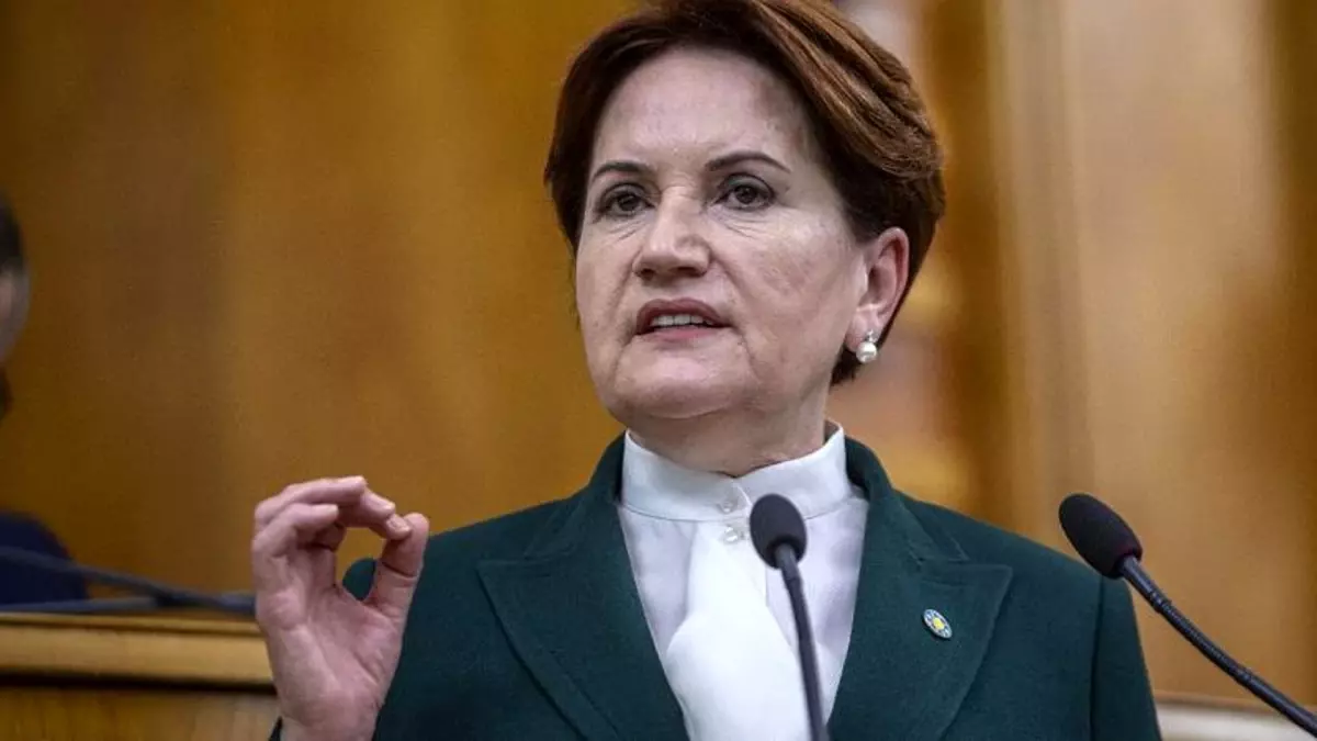 Meral Akşener: İstanbul Boğazı\'nın sahibi Türk milletidir