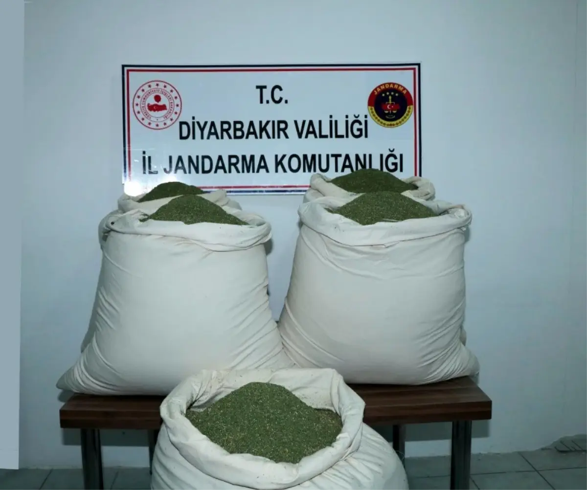 Öğrenci servisinde 176 kilogram esrar ele geçirildi