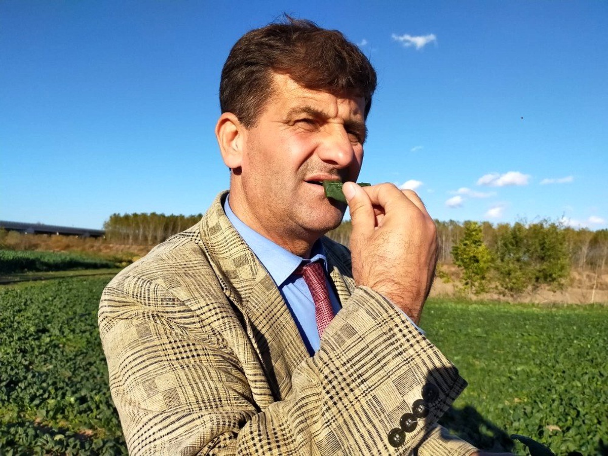 (Özel Haber) Ispanak yiyerek tepki gösterdiler