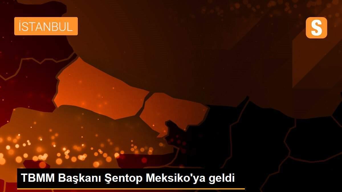 TBMM Başkanı Şentop Meksiko\'ya geldi