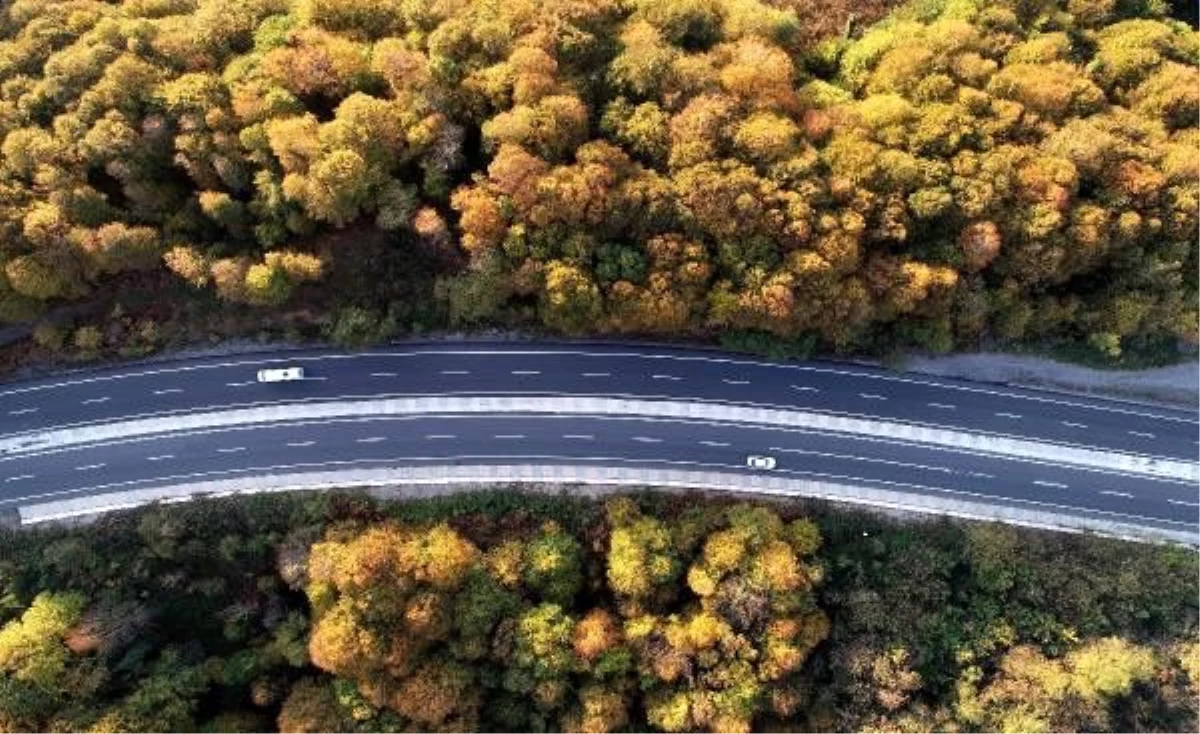 Zonguldak\'ta sonbahar güzelliği