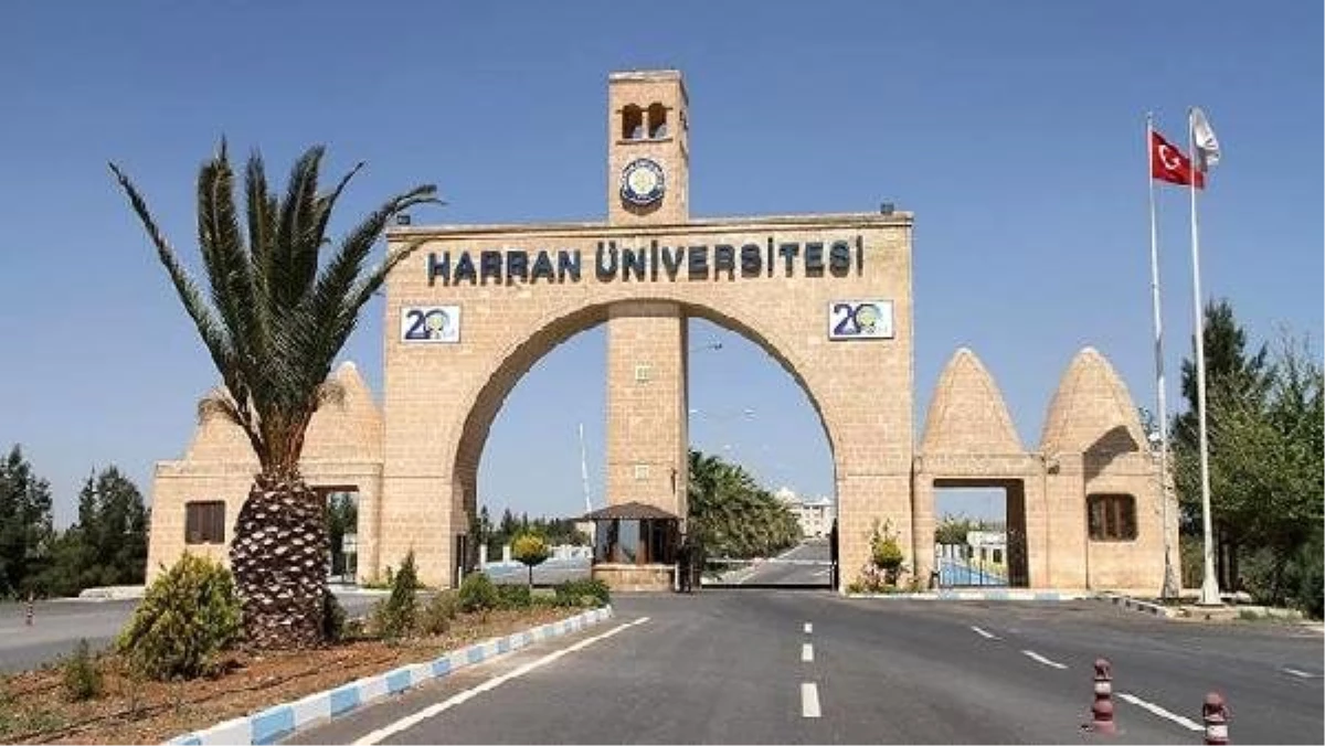 Harran Üniversitesi\'nde toplu istifa