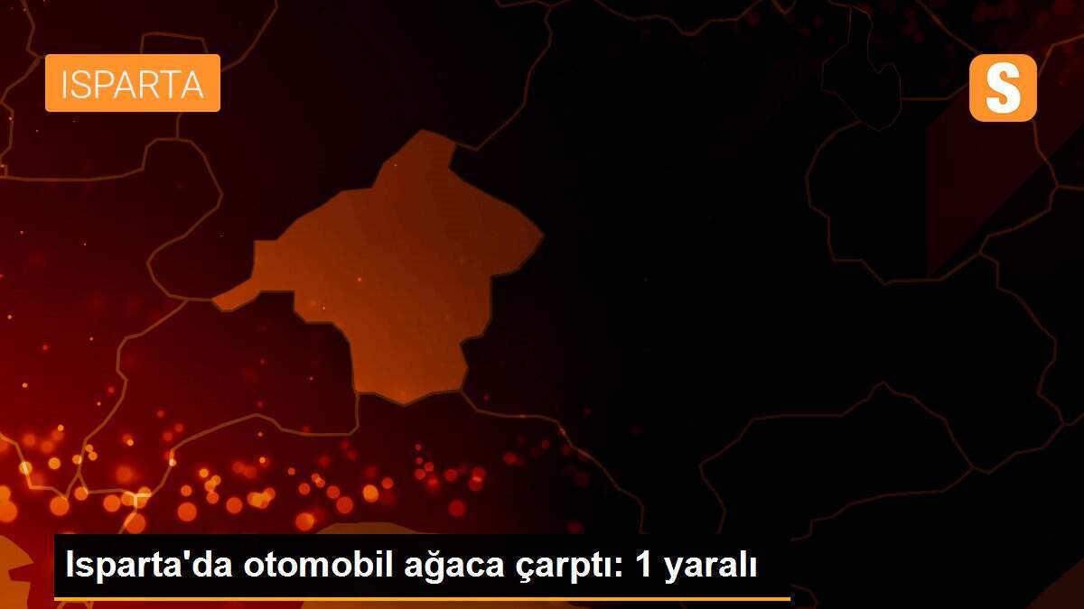 Isparta\'da otomobil ağaca çarptı: 1 yaralı
