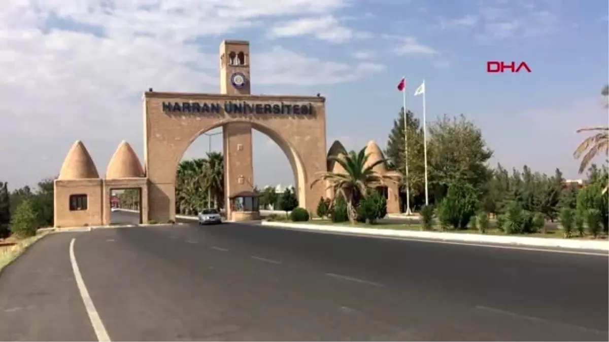 Şanlıurfa harran üniversitesi\'nde toplu istifa