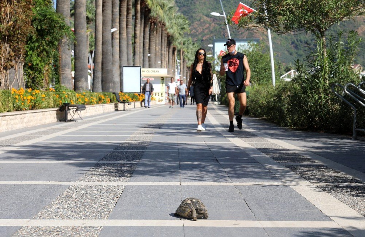 Selden sonra yapılan çalışmalarla, Marmaris normale döndü