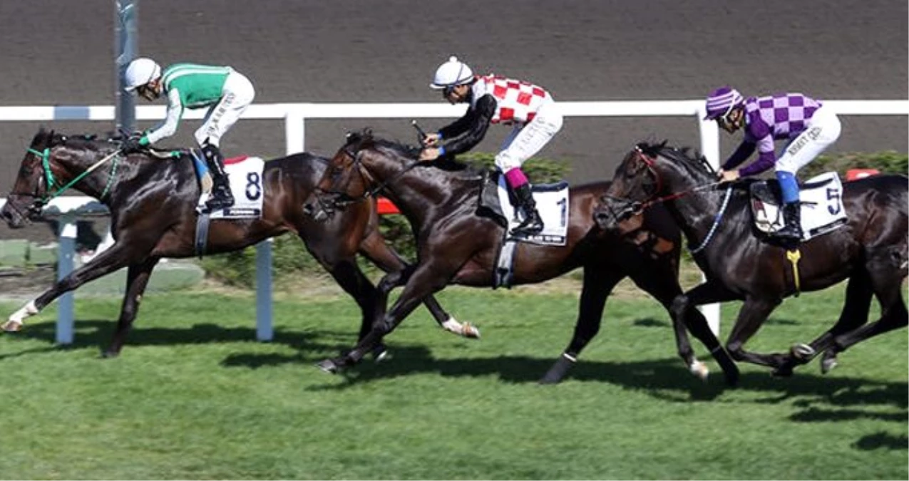 Türkiye Varlık Fonu, at yarışları ve bahisleri hizmet alımı için süreç başladı