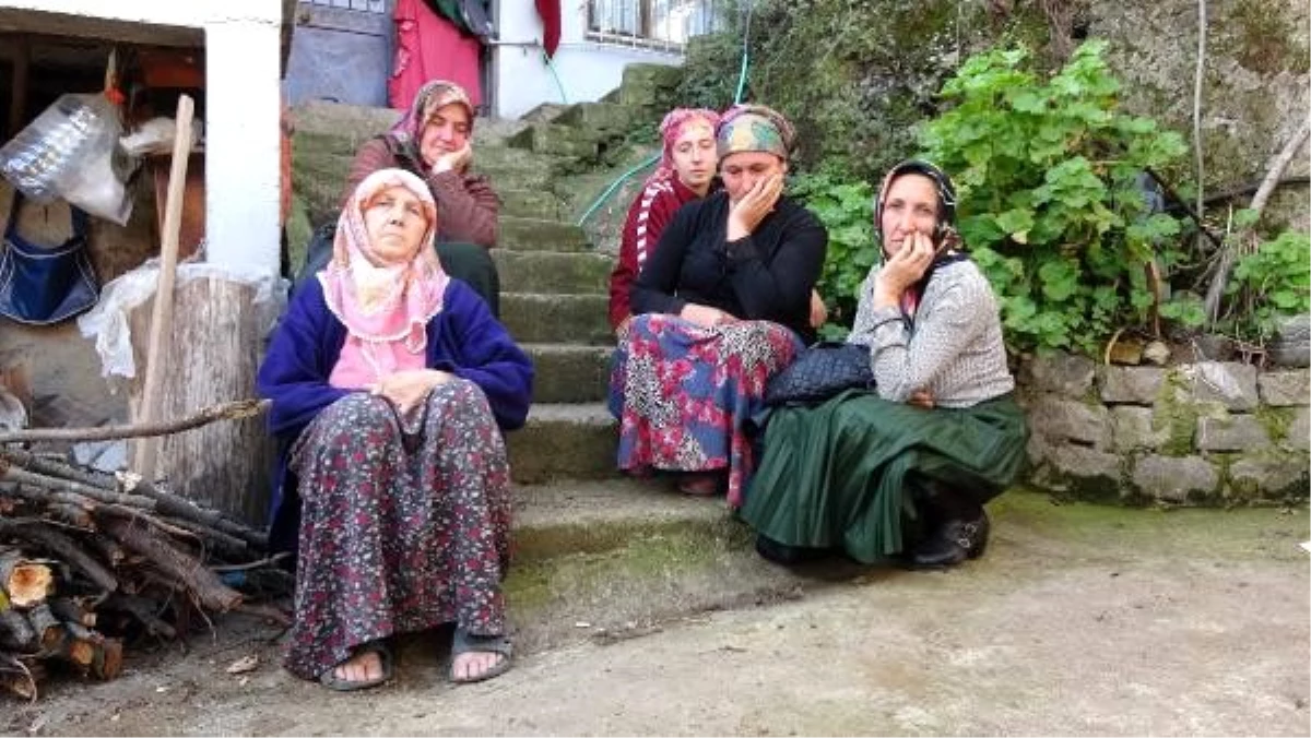 Trabzon\'da 30 büyükbaş, çiçek hastalığından öldü
