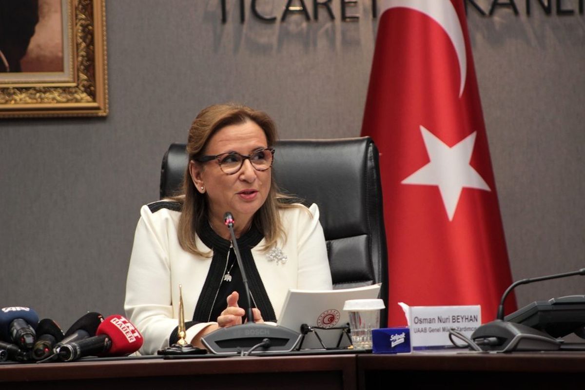 2020 Merkezi Yönetim bütçe görüşmeleri