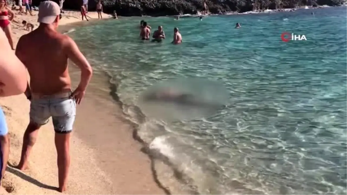 Alanya\'da sahile vuran cesedin kimliği belirlendi