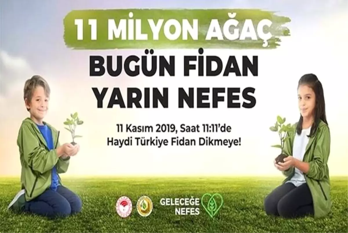 Bafra 11 milyon ağaç için buluşuyor