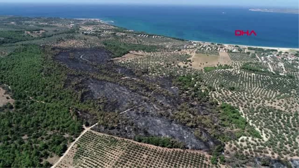 Çanakkale\'deki 52 orman yangınında 222 hektar alan kül oldu