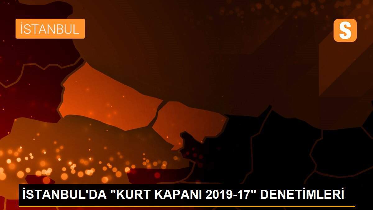 İSTANBUL\'DA "KURT KAPANI 2019-17" DENETİMLERİ