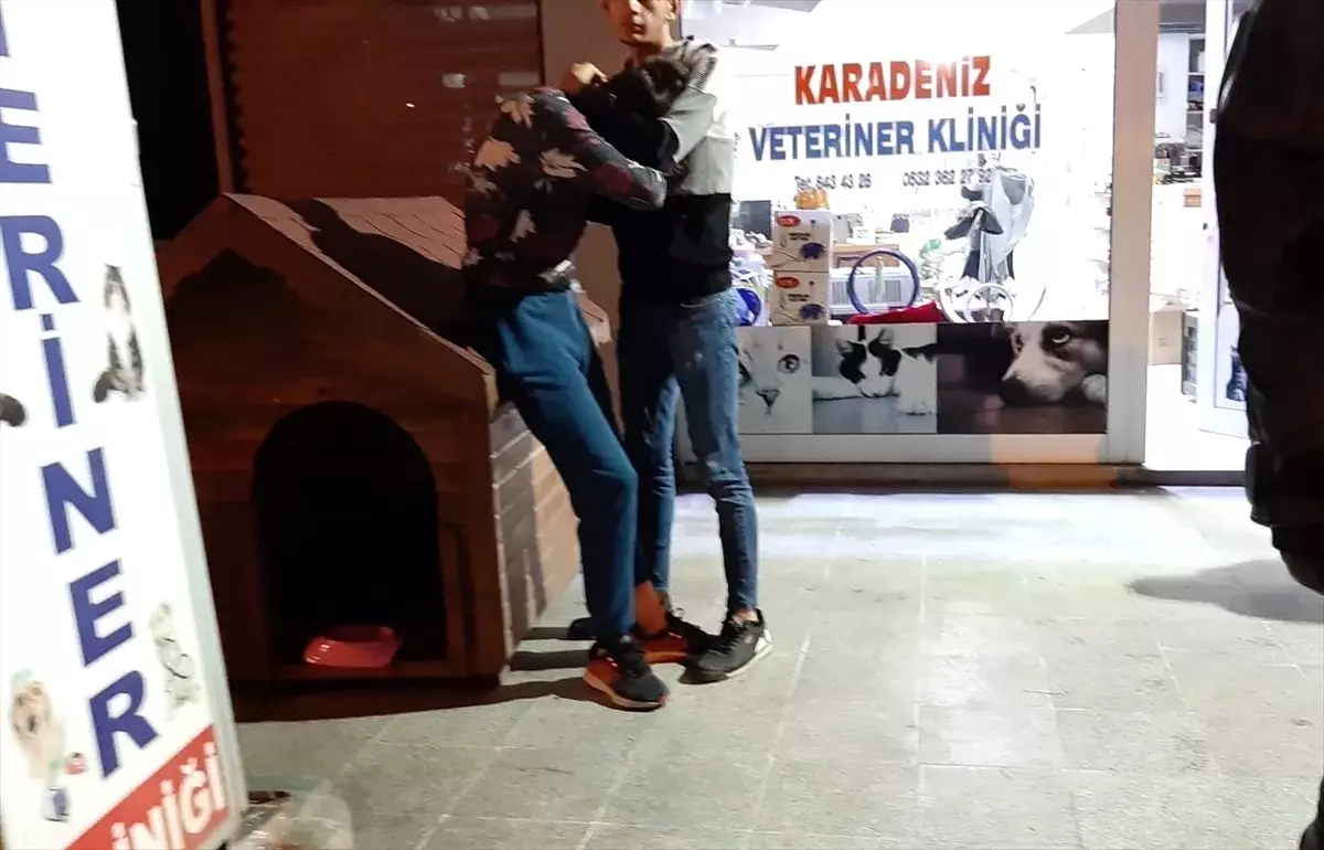 Kocaeli\'de köpeği bıçakla öldürdüğü iddia edilen kişi gözaltına alındı