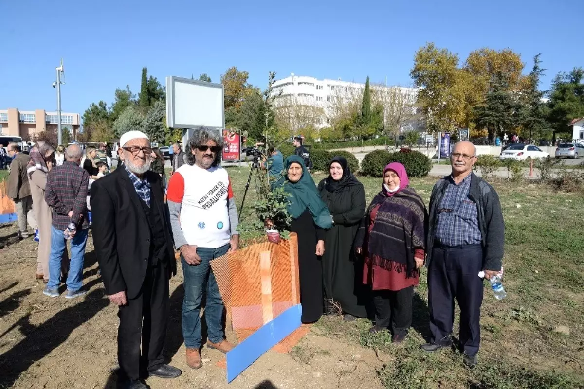 Organları bağışçıları ve organ nakli olanlar birlikte fidan dikti