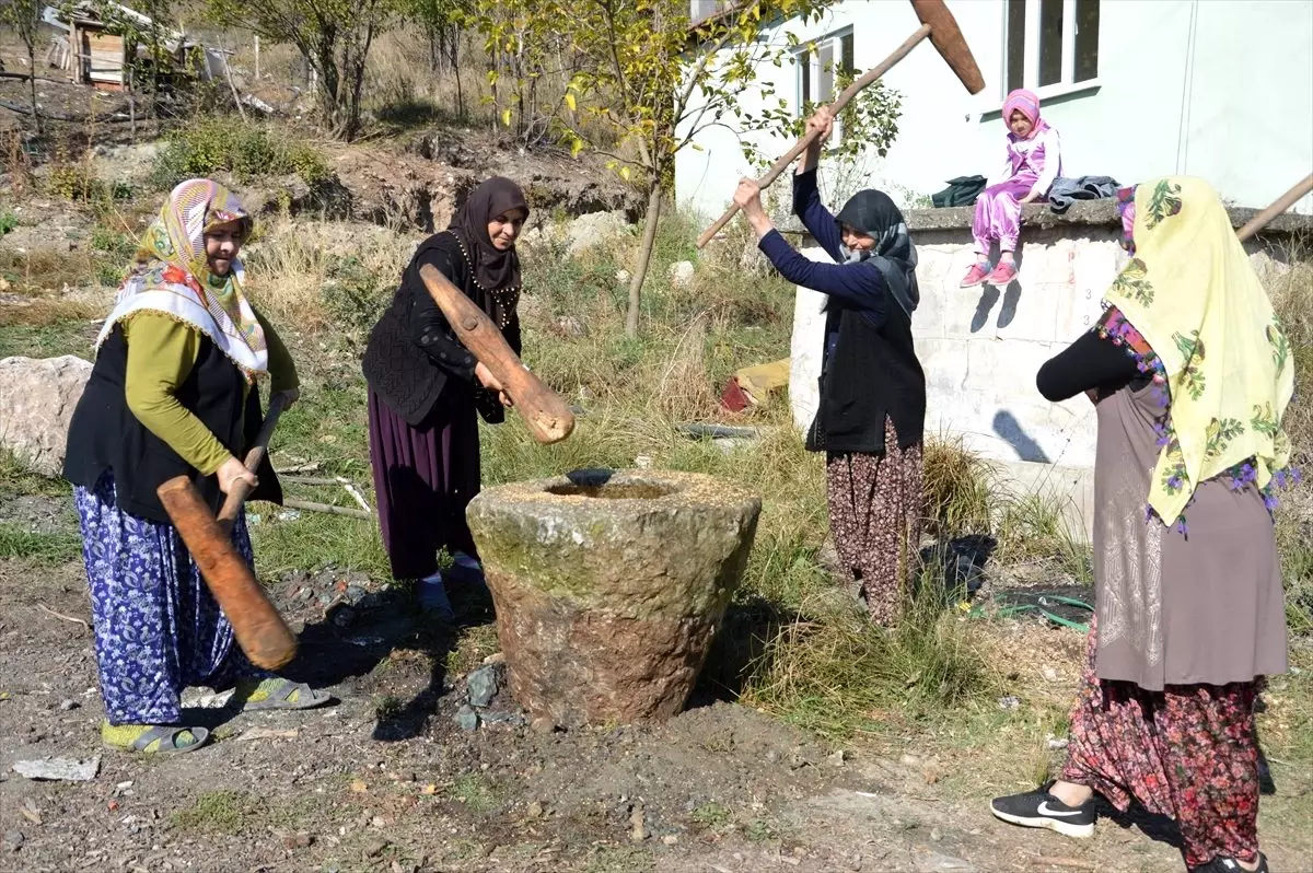 Sakarya\'da buğday dövme geleneği yaşatılıyor