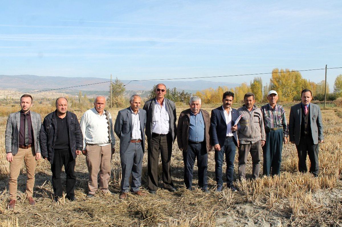 \'Tosya Pirinci\'nin coğrafi işaret denetimleri başladı