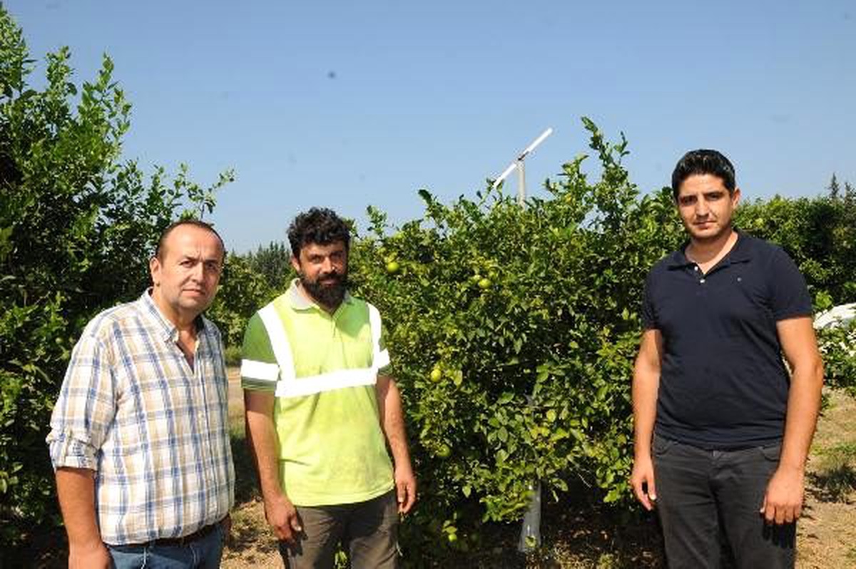 80 dönümlük arazide organik üretim yapıyor