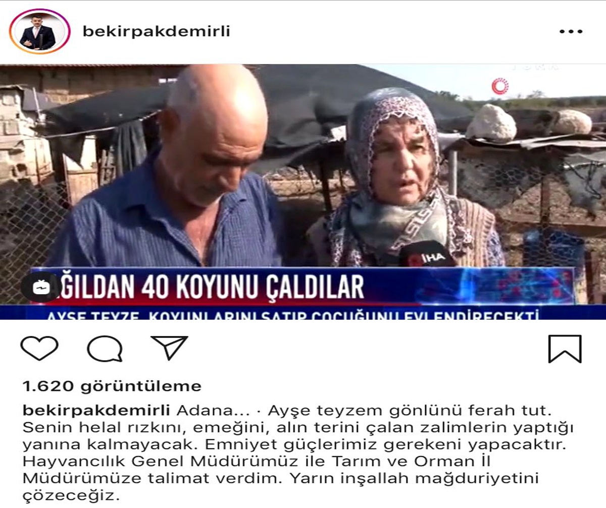 Bakan Pakdemirli\'den koyunları çalınan Ayşe teyzeye destek