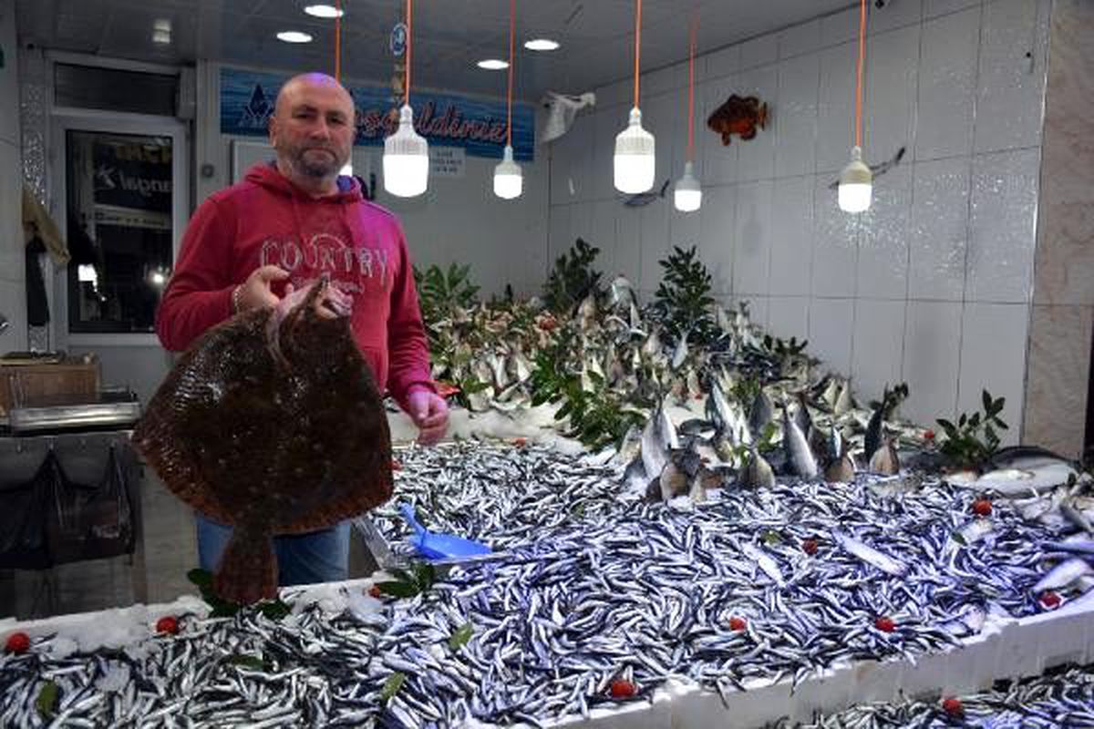 Karadeniz\'de balık bolluğu