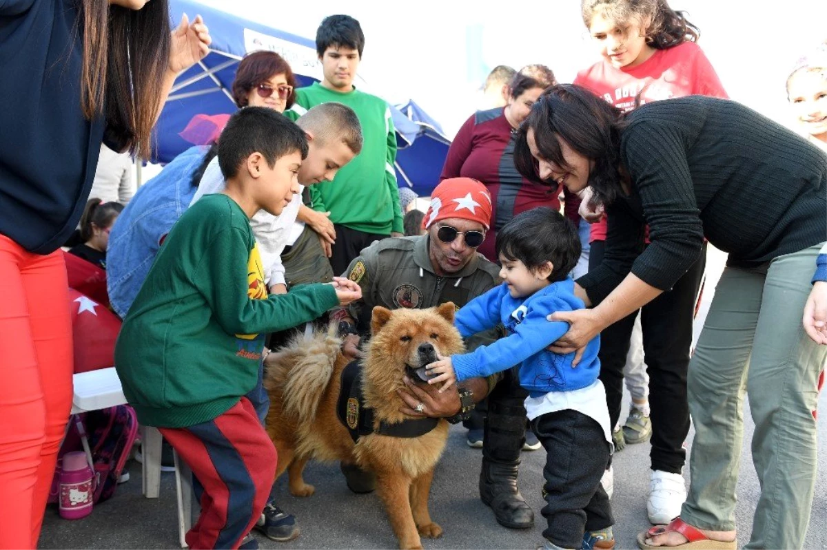 Mersin Büyükşehir\'in arama-kurtarma köpekleriyle engelli çocuklara terapi