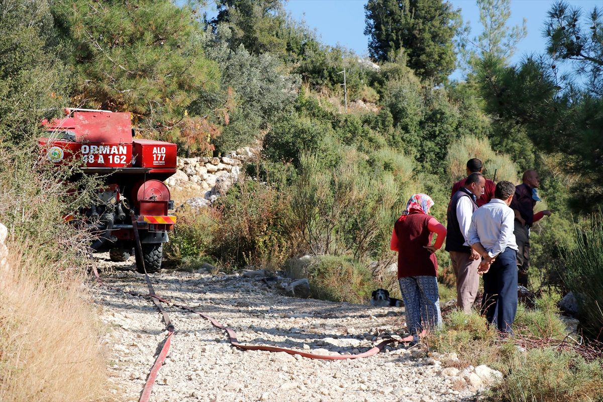 Muğla\'da orman yangını