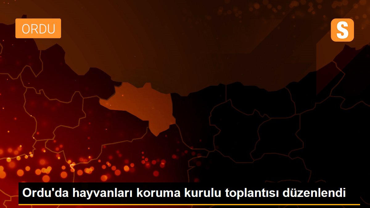 Ordu\'da hayvanları koruma kurulu toplantısı düzenlendi