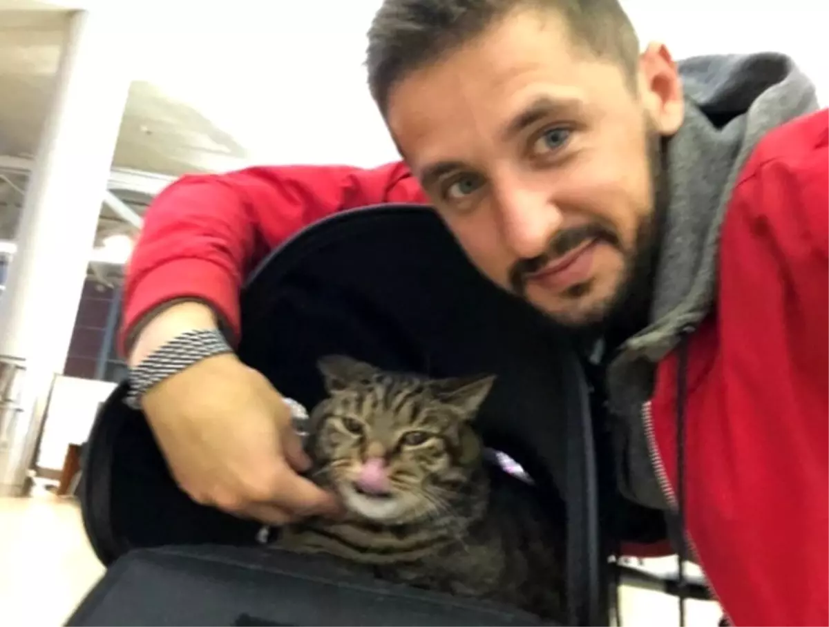 Tombul kedi uçağa alınmayınca sahibi başka kediyi tarttırdı