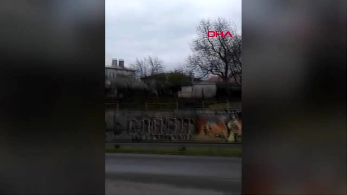 Ukrayna\'da traktörün motor sesinden korkan geyik kendini yola attı