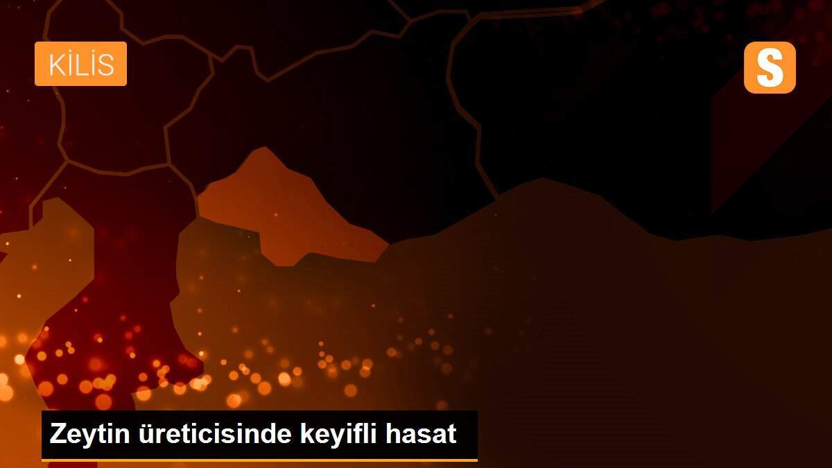 Zeytin üreticisinde keyifli hasat