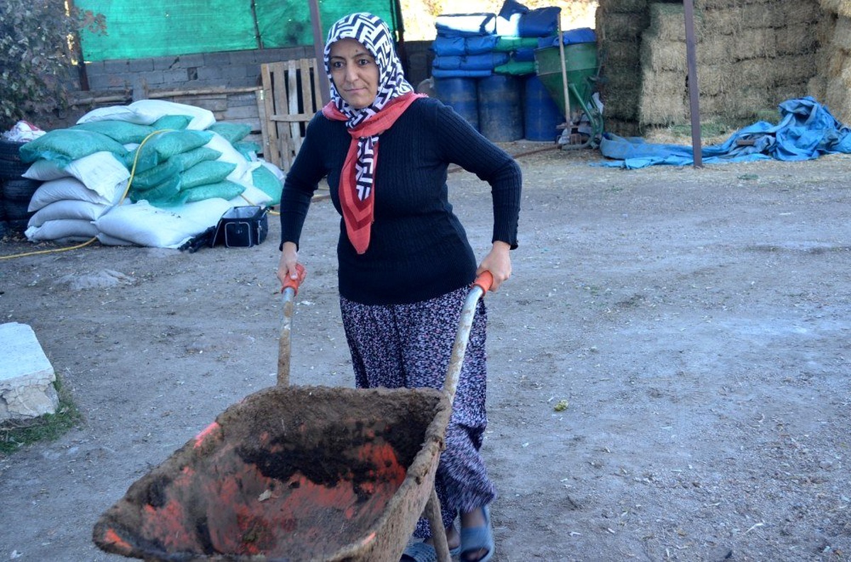 4 çocuk annesi kadın hayvancılık yapmak için köye taşındı