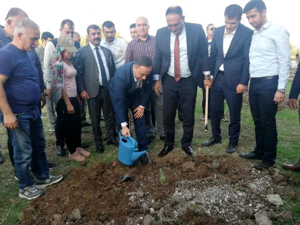 81\'nci yıl anısına 81 fidan diktiler