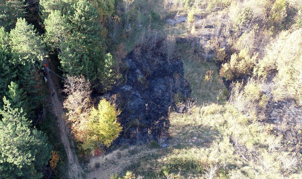 Kastamonu\'da orman ve anız yangınları