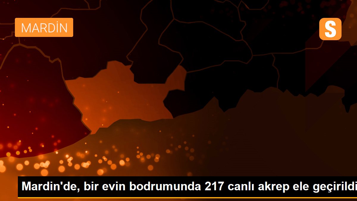 Mardin\'de, bir evin bodrumunda 217 canlı akrep ele geçirildi