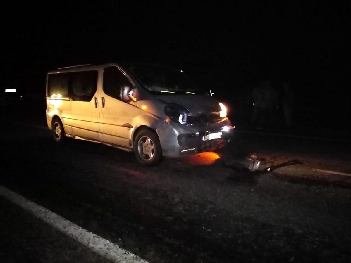 Minibüs sürüye daldı; şoför yaralandı, 30 koyun telef oldu