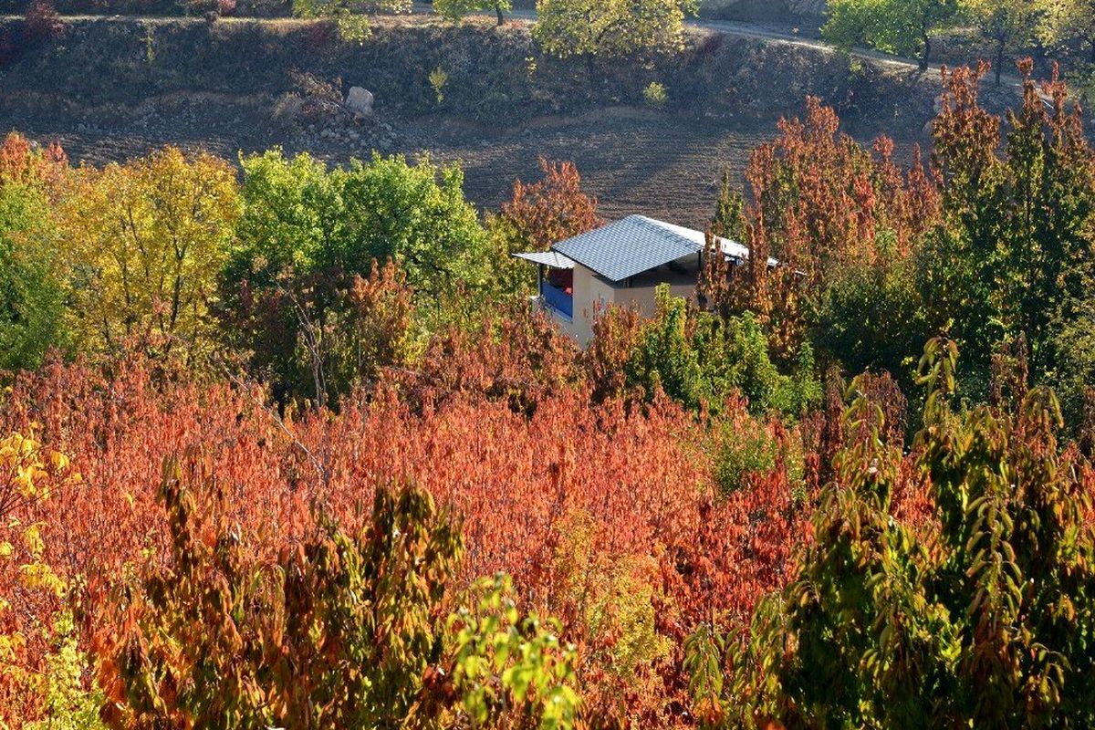 Yeşilyurt sonbaharda bir başka güzel