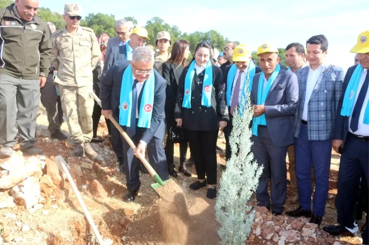 Adıyaman\'da, 175 bin fidan toprakla buluştu