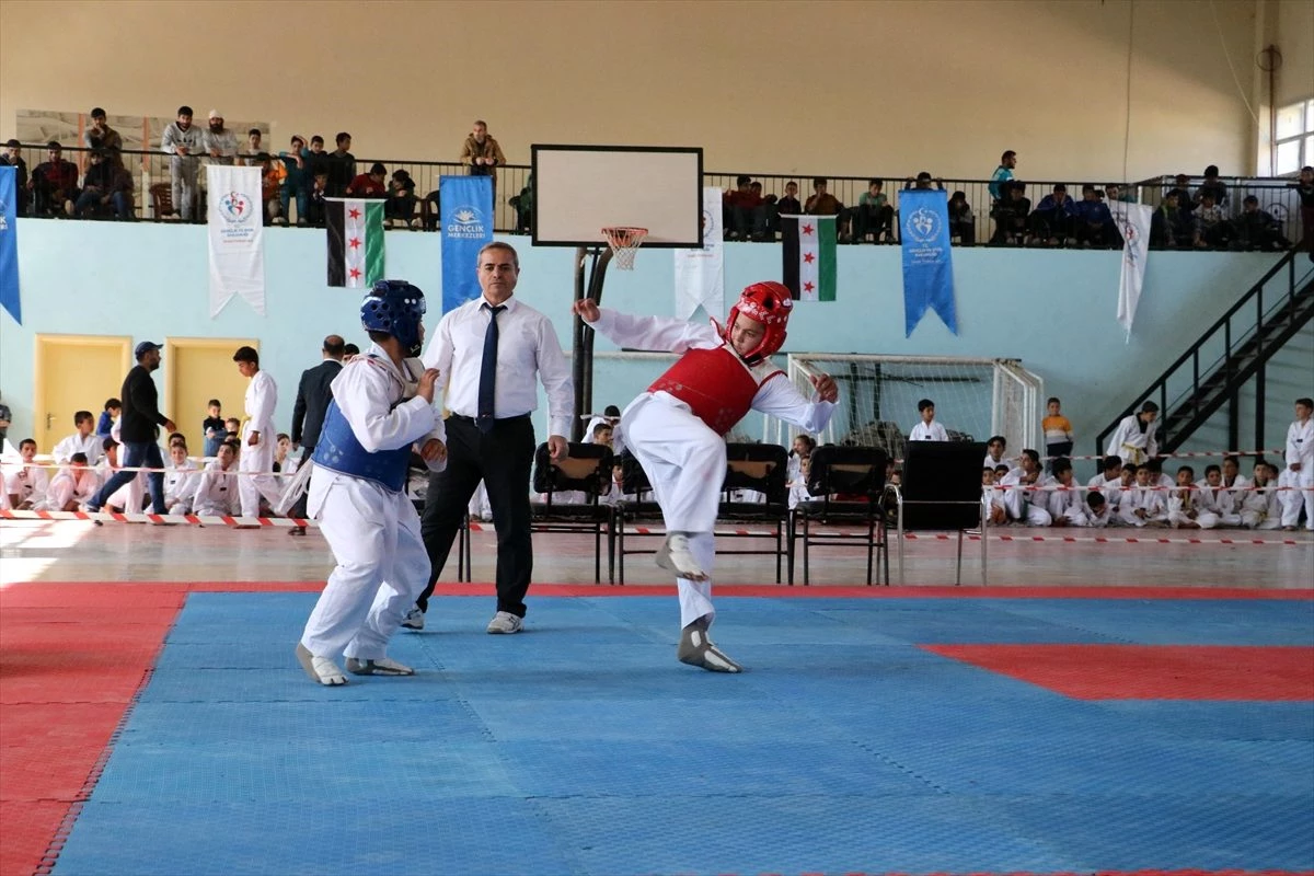 Afrin\'de tekvando turnuvası yapıldı