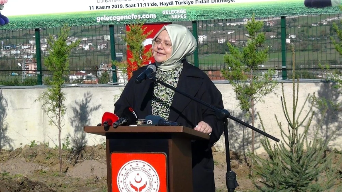 Aile, Çalışma ve Sosyal Hizmetler Bakanı Selçuk, Sinop\'ta fidan dikimine katıldı